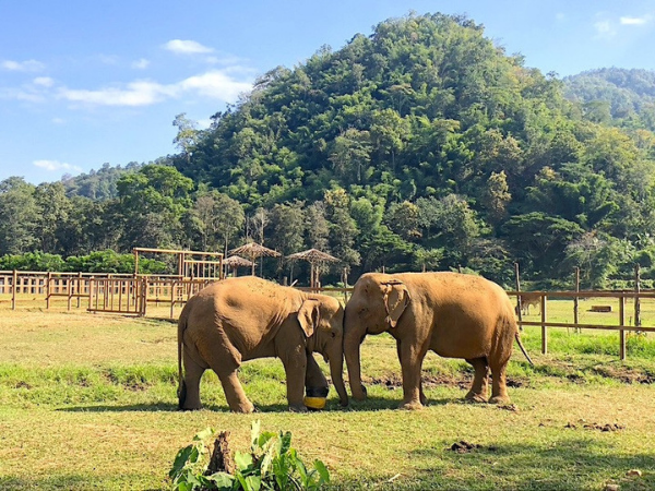 MEJOR TOUR EN FAMILA POR CAMBOYA DE 10 DÍAS